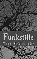 Funkstille: Thriller 1517701082 Book Cover