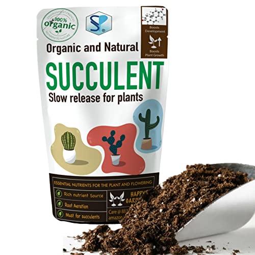 Amazon.in Hot New Releases The bestselling new and future releases in