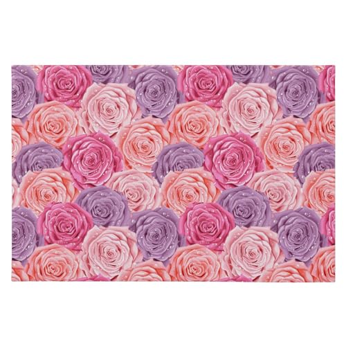 SAMAU  փ}bg  ԕ o ӂӂ hA}bg DƂ ~ O Ɩp ItBXp ƒp 唻 60*90CM