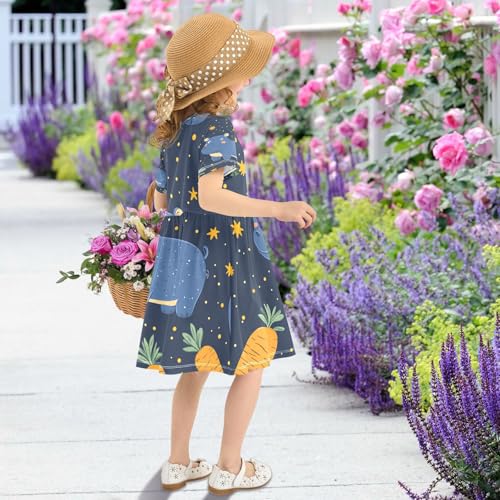Girls Summer Dress Short Sleeve A Line Blue Hippo Orange Carrots Casual Dresses for Kids 2-8 Years4
