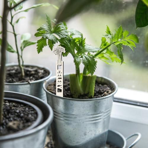 arricraft 15 marcadores de plantas de ervas de jardim, 15 estilos de placas vazadas de madeira para