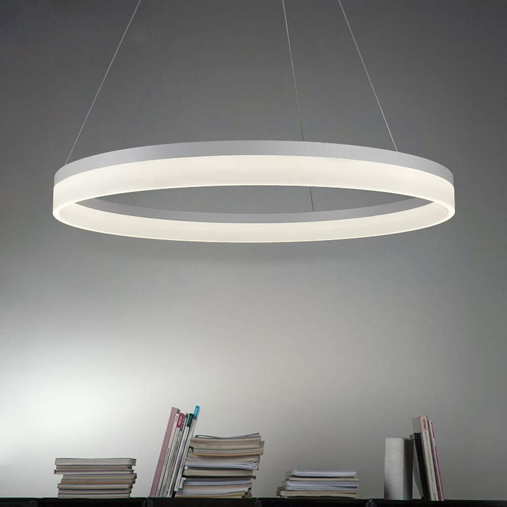 Single Circle LED Pendant Light Modern Metal Acrylic 1-Light Chandelier Adjustable Suspended Hanging Lamp for Living Room Bedroom,White+WarmLight-80cm