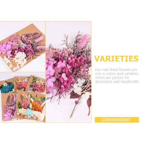 Ipetboom paquete de flores secas para manualidades miniatura 6