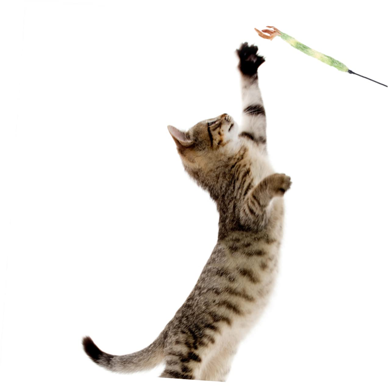Kisangel 15 Piezas De Juguete Giratorio para Gatos Suministros para Mascotas Juguetes para Gatitos Juguetes para Ejercitar Gatos Juguete De Hadas Juguetes para Gatitos Juguetes