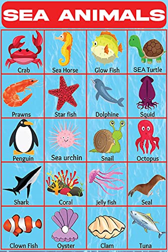 Buy Go Green Tale Kids Educational Wall Chart for Children|Sea Animals With Pictures| For Play ...