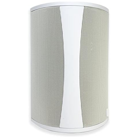 Definitive Technology AW5500 Outdoor Speaker - 5.25-inch Woofer, 175 Watts, High Performance, Built for Extreme Weather (Single, White) Cover