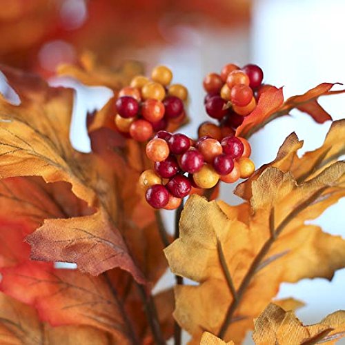 Factory Direct Craft Fall Artificial Silk Oak Leaf Picks with Autumn Berry Cluster Accent - 12 Picks