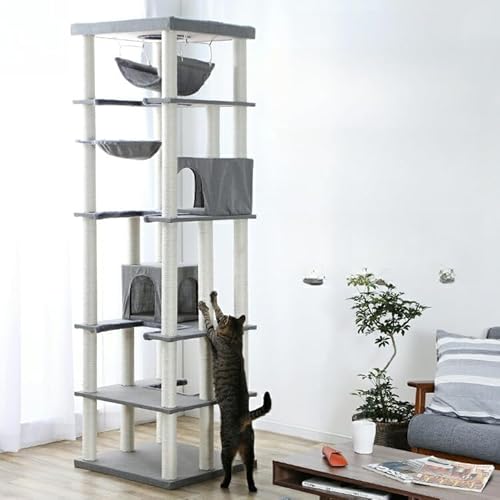 Lbg^[ u ^L |[ nbN B nEX   L^[ u ^   u^ ی^ o[Vu ܂Ƃ O[