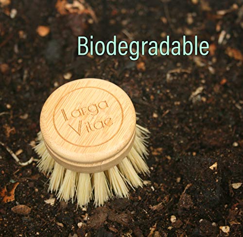 Image of 6 pcs Wooden Dish Brush Replacement Heads Made of Renewable Bamboo Wood and Natural Bristle Fiber, Durable, Long Lasting (Tampico Fiber)