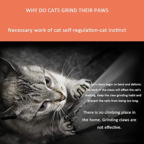 Plateforme de saut chat pour protéger vos meubles des griffures et de l'ennui - 7
