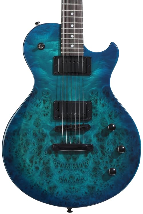 SCHECTER SOL-2312021エレキアコースティックギター Amazon.com: Schecter Solo-II Standard Electric Guitar - Ocean Blue