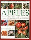 The Illustrated World Encyclopedia of Apples: A comprehensive identification guide to over 400 varieties accompanied by 60 scrumptious recipes
