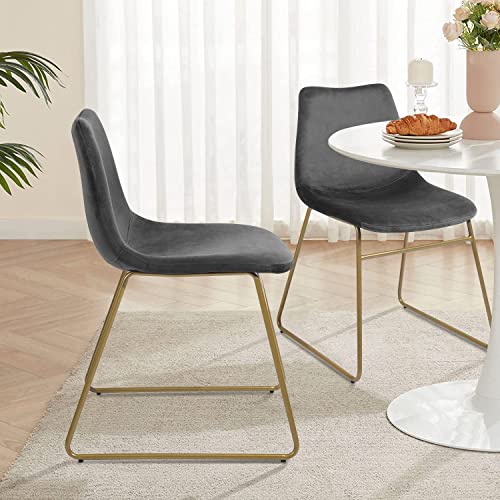 GOMYHOME Juego de 2 Sillas de Comedor de Terciopelo Sillas...