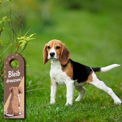 Hund Komm rein Bleib draußen Türhänger für Hundeliebhaber lustiger Spruch für Hundeliebhaber-Türschild