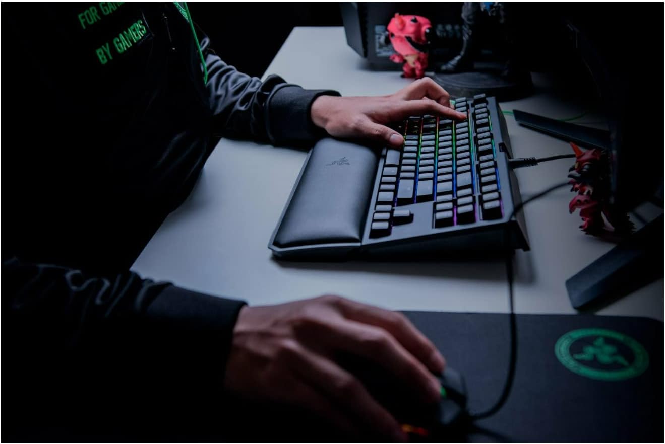 Razer BlackWidow TE Chroma v2 TKL Tenkeyless Mechanical Gaming Keyboard: Orange Key Switches, Tactile & Silent, Chroma RGB Lighting, Magnetic Wrist Rest, Programmable Macros, Classic Black V2 TKL TE Orange Switches - Tactile & Silent