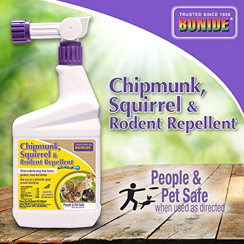 Top 10 Chipmunk Repellents Of 2021 Best Reviews Guide