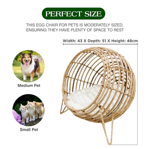 Handwoven Rattan Pet Lounge Chair with Plush Cushion - Luxury Indoor/Outdoor Nest for Cats and Small Dogs - Cozy Elevated Bed - Durable and Stylish Animal Lounger - Friendly Pet Furniture
