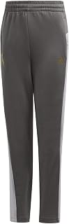 adidas B A.R. x Pant Sport Trousers - Grey Six/Gold Met., 4-5Y