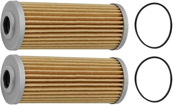 Fuel Filter Element, 2 Pcs