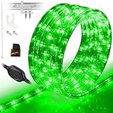 WYZworks 25' feet Green LED Rope Lights - Flexible 2 Wire Accent Holiday Christmas Party Decoration Lighting | UL Certified