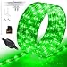 WYZworks 25' feet Green LED Rope Lights - Flexible 2 Wire Accent Holiday Christmas Party Decoration Lighting | UL Certified