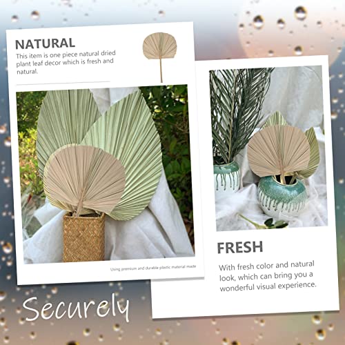 Hojas decorativas secas LIFKOME para arreglos miniatura 3