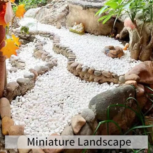 Image of BKD White Pebble Decorative Stones Marble Chips [3 Kg] for Aquarium Garden Indoor & Outdoor Decoration Pebble Stone White