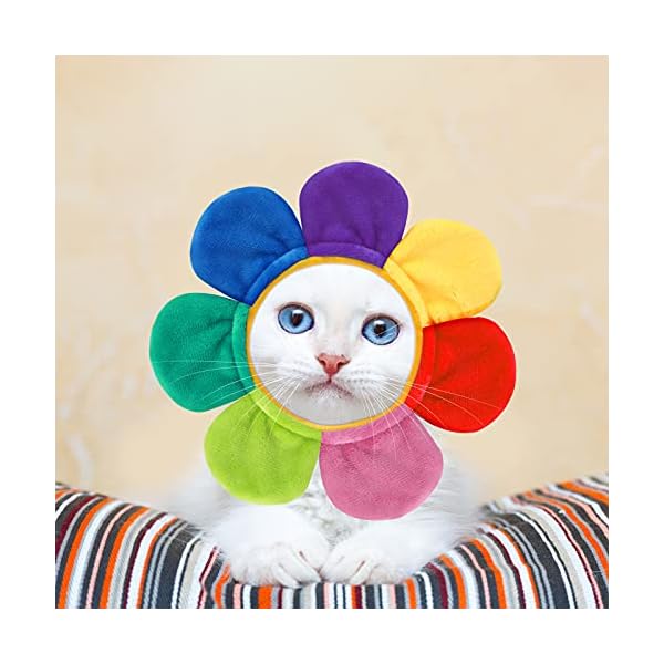 5 pieces cat hat cat dog costume cute pet hat bunny rabbit hat with ears headwear lion mane cap valentine new years day party accessory for kitten puppy dress up adjustable birthday hat (cute style) - image 6