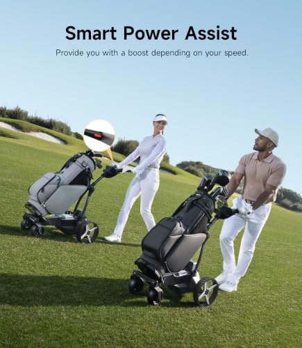 NAVEE Birdie 3X Electric Cart