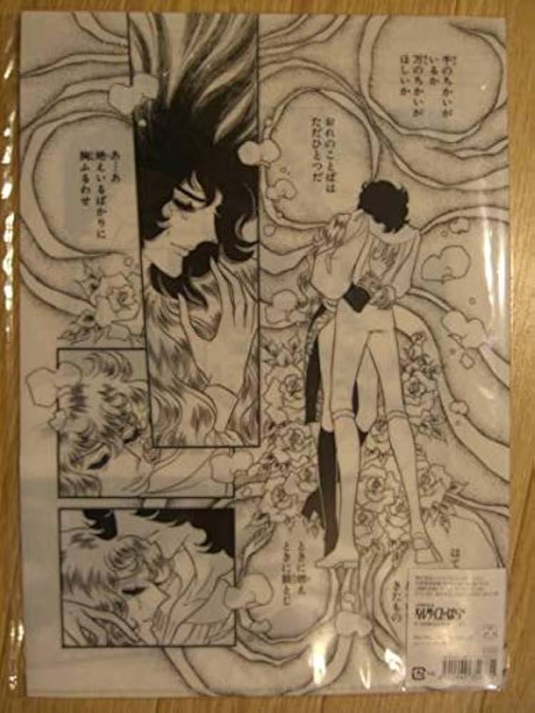 【貴重】【レア】ベルサイユのばら オスカル&アンドレ 5ポケットクリアファイル 41W1CTehQSL.jpg