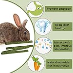 DELEMI 20pcs Natural Timothy Hay Sticks,Guinea Pig Chinchilla Rabbits Chew Toys Small Animals Treats Bunny Toys,Timothy… - Image 2