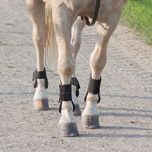 Surfante Horse Tendon Boots, Adjustable Horse Leg Protector For Horse Jumping Set Of 4(Front & Hind) #TOP2