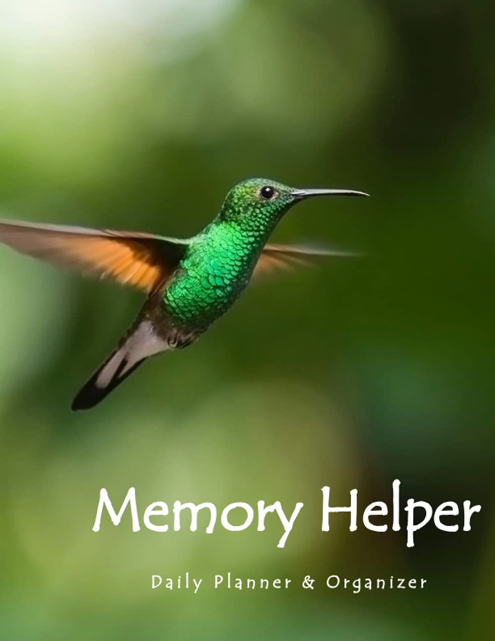 Memory Helper Daily Planner & Organizer: 60-Day planner & organizer for those with memory loss
