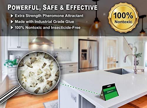 Image of MaxGuard Pantry Moth Traps (4 Traps Trial Pack) Extra Strength Pheromones | Non-Toxic Sticky Glue Trap for Food and Cupboard Moths in Your Kitchen | Trap and Kill Seed Grain Flour Meal Moths |