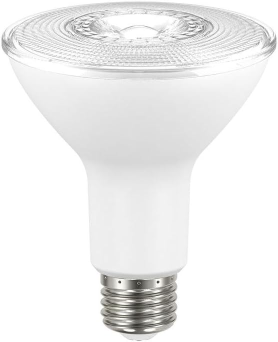 75W LED PAR30 5000K 2PK