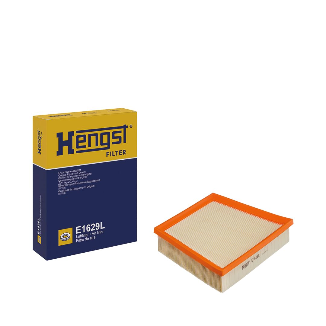 Hengst Filtro aria auto Inserto filtro 255 x 192 x 49,5 mm