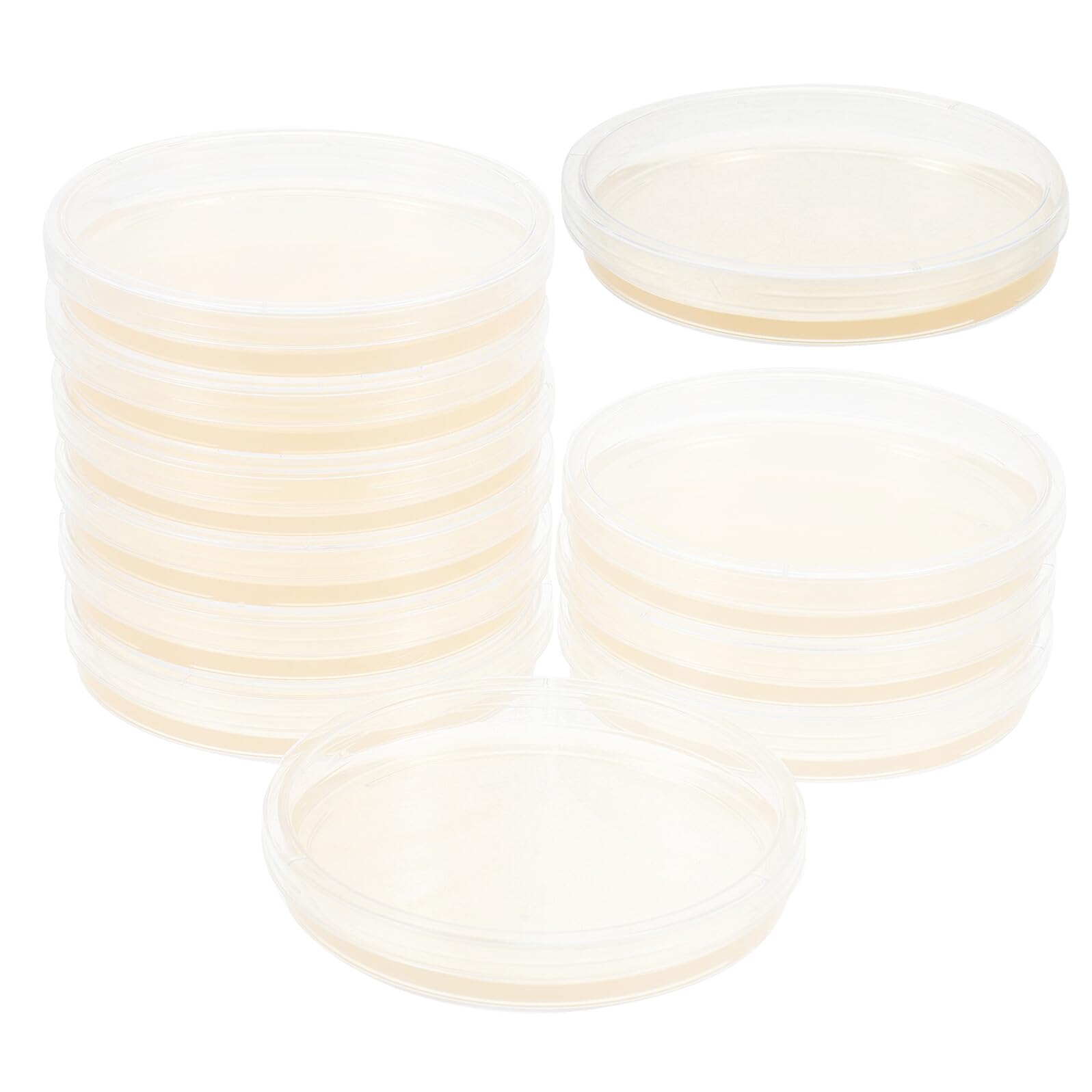 20 Placas de Petri Redondas de Plástico Agar Nutritivo Pre-vertido de 9cm para Cultivo Microbiológico Tapas Ajustadas Ideales para Experimentos y Educación en Laboratorio