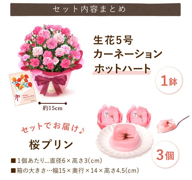 Amazon｜おいもや 母の日プレゼント 2026 予約 カーネーション 鉢植え