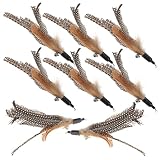 iplusmile 8pcs Cat Teaser Refill Exercise Accessories Sports Toys Pet Toys Hanging Cat Toy Cat Teasi