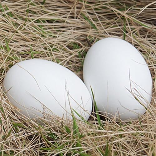 Masterproofing Wooden Fake Eggs, Easter Eggs-6 Pieces (White)
