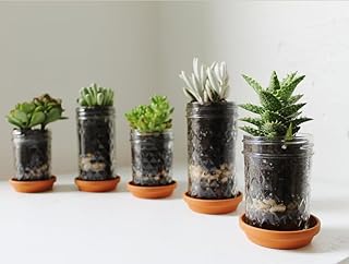 Mason Jar Planter Set of 5 | Upcycled Glass Plant Pots with Drainage Hol...