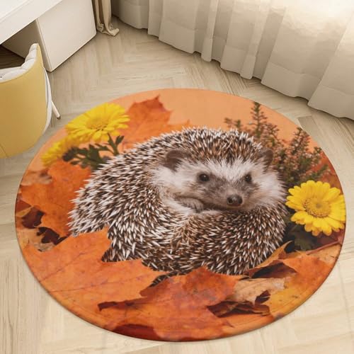 �t���V�V�R�[�����x���x�b�g���E���h�G���A���O 2.5�t�B�[�g �����^0.5cm �I�����W�̗t�̃w�b�W�z�b�O �t���A�}�b�g ����~�� TPR���n ��p�C�� ����\ �E�F���J���t�����g�h�A�}�b�g �Q�� ���ւ̑����p