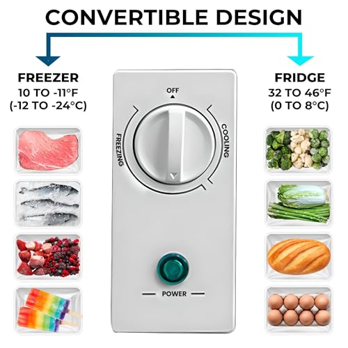 Walk-in freezer cold storage large