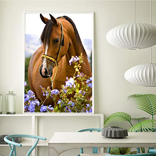 DCIDBEI 5D Pittura Diamantini Fai da Te Realizzato...