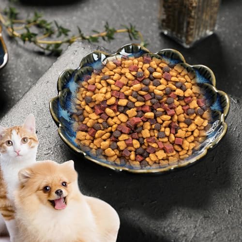 Katzennapf Keramik: 6 Stück Futternapf Katze Fressnapf Katze Keramik Flache Katzenteller, Katzenschüssel Porzellan Futterschale, Katzenfutter Napf Klein, Katzen Napfset für Futter und Wasser