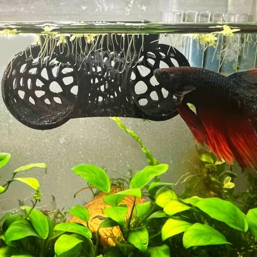 Image of Floating Betta Tunnel for Betta Training. Interactive Training & Enrichment Toy for Betta Fish - Stress Relief & Exercise Accessory, Floating Betta Fish Toys