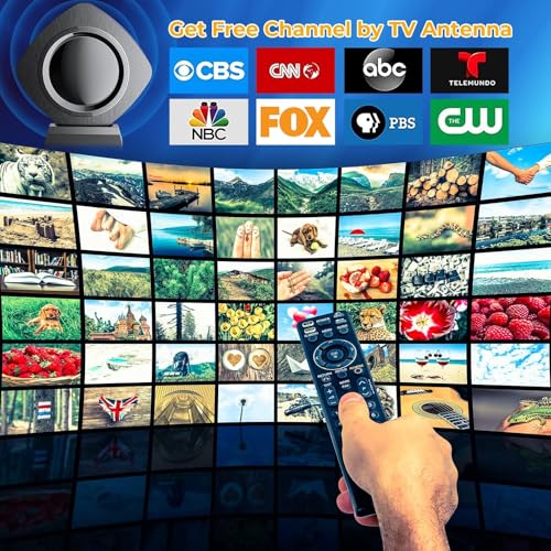 Plus de coupures d'image avec l'antenne TV longue portée pour capter partout