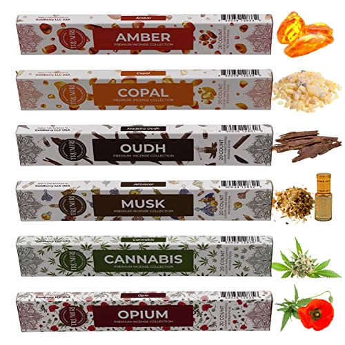 Exotic Incense Sticks Variety Pack & Incense Burner - Gift Set - Inciensos Aromaticos - 120 Scented Sticks (6 Fragrances X 20 Pieces Each) - Copal, Amber, Oud, Musk Natural Organic Non-Toxic #TOP3