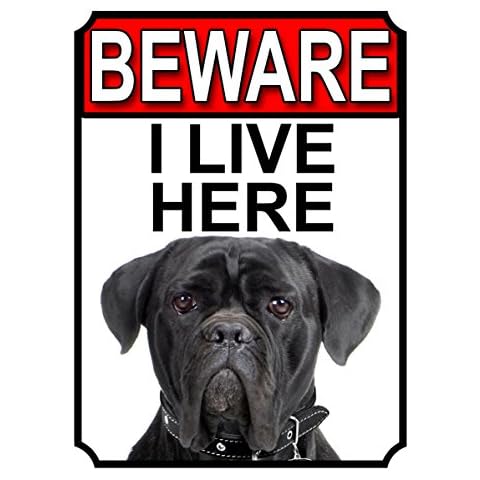Beware Cane Corso Metal Gate Sign Cover