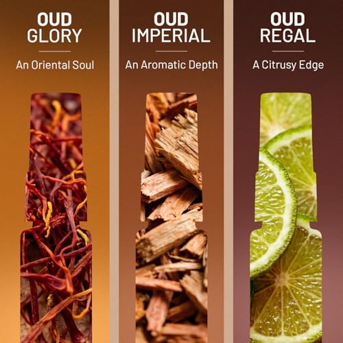 Image of Wild Stone CODE OUD Discovery Set For Men | 3x8ml EDP Luxury Perfumes | Regal, Imperial & Glory | Travel-Friendly | Premium Pack with Glass Bottles | Long-Lasting & Old Money Oud Fragrances
